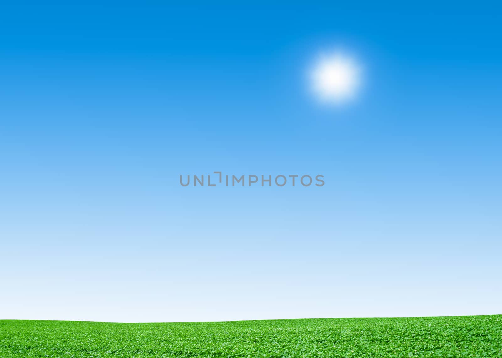 green field and sky by ozaiachin