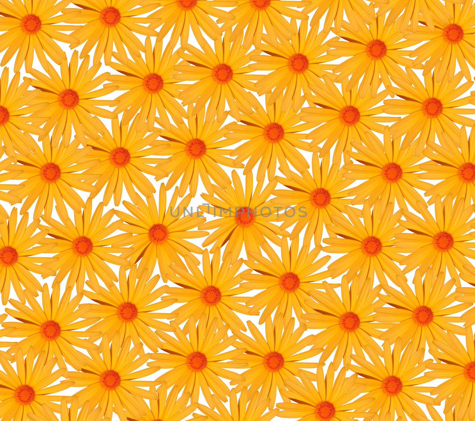 yellow flower background by ozaiachin