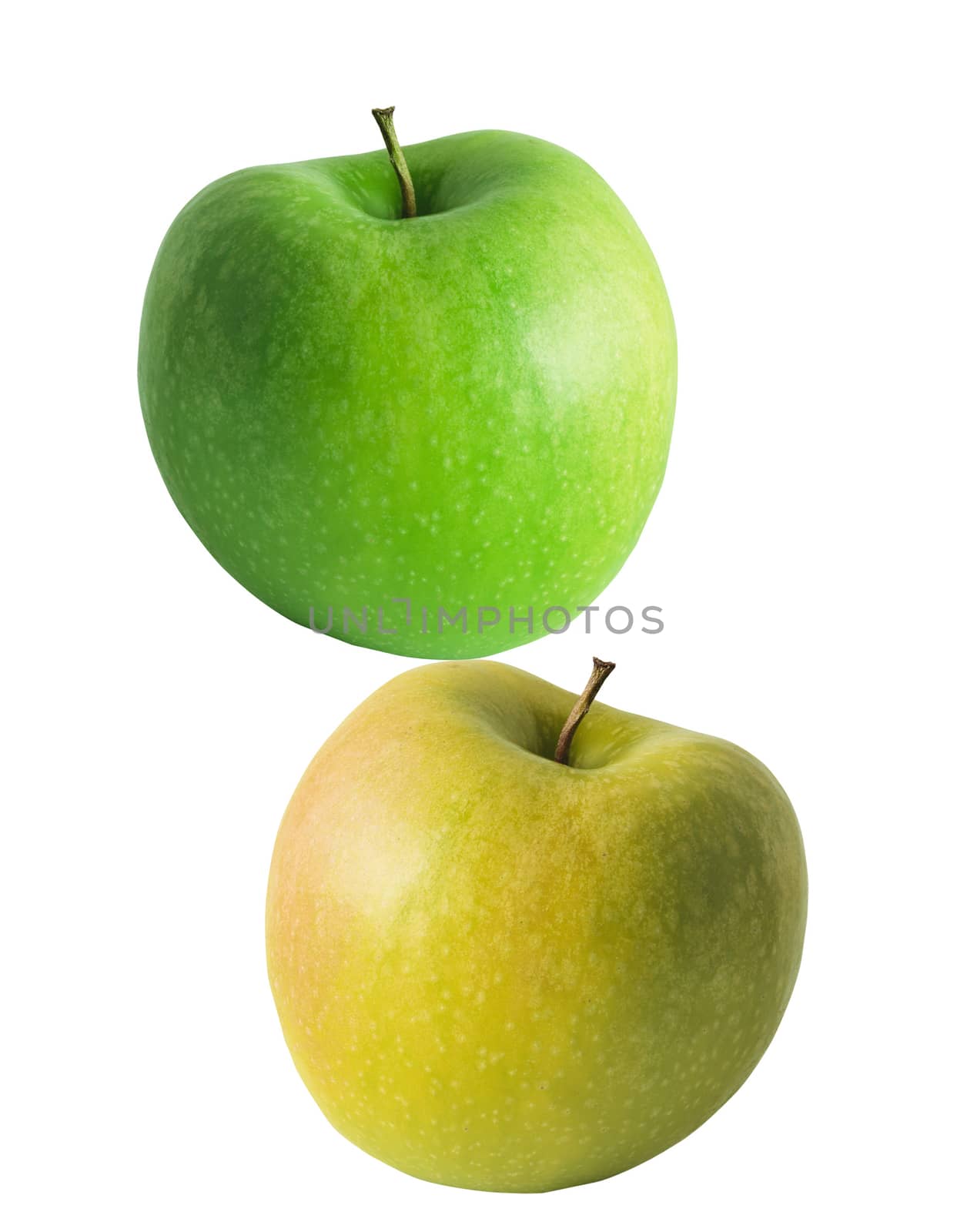 green and yellow apples isolated on white