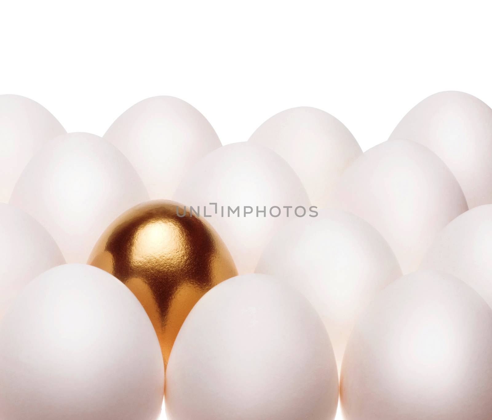 one gold egg lays among common white eggs by ozaiachin