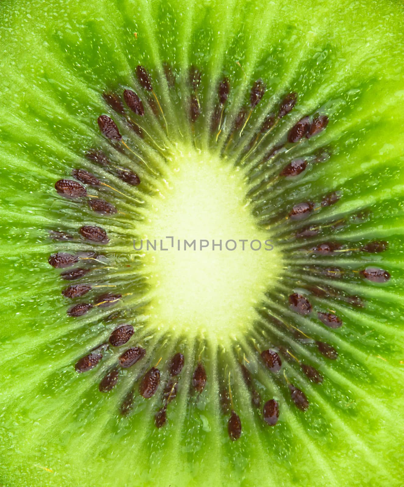 Close up of kiwi slice by ozaiachin