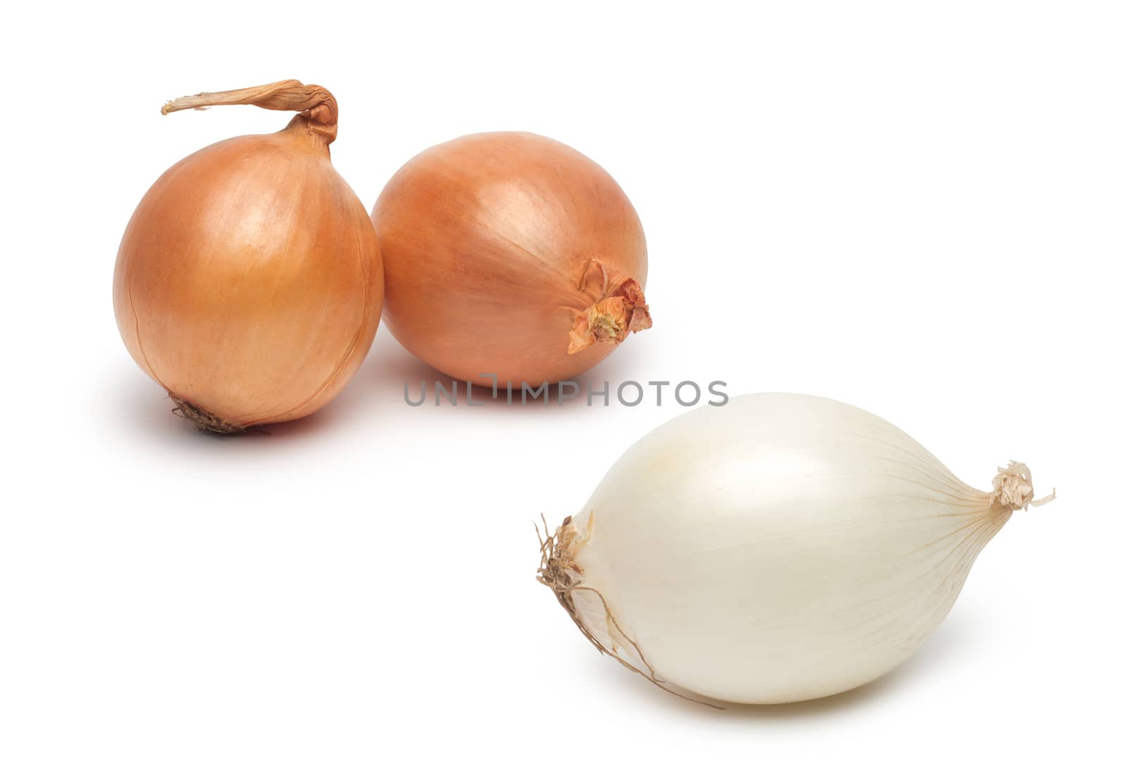 Ripe onions on a white background