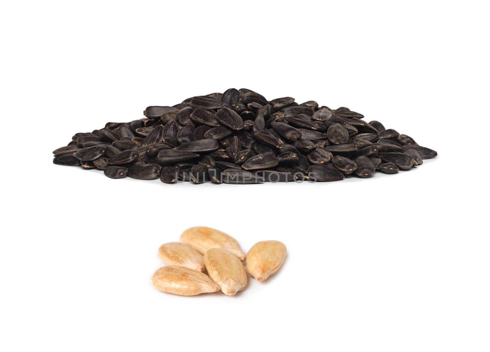 pile of sunflower seeds isolated