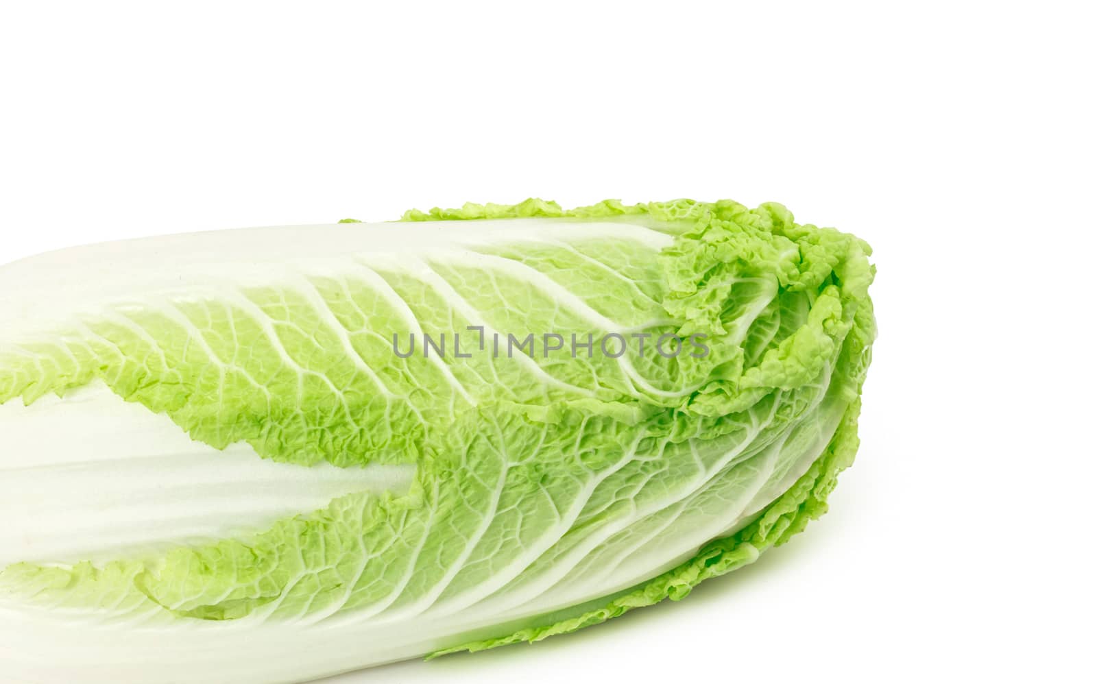 Romain Lettuce isolated on a white background