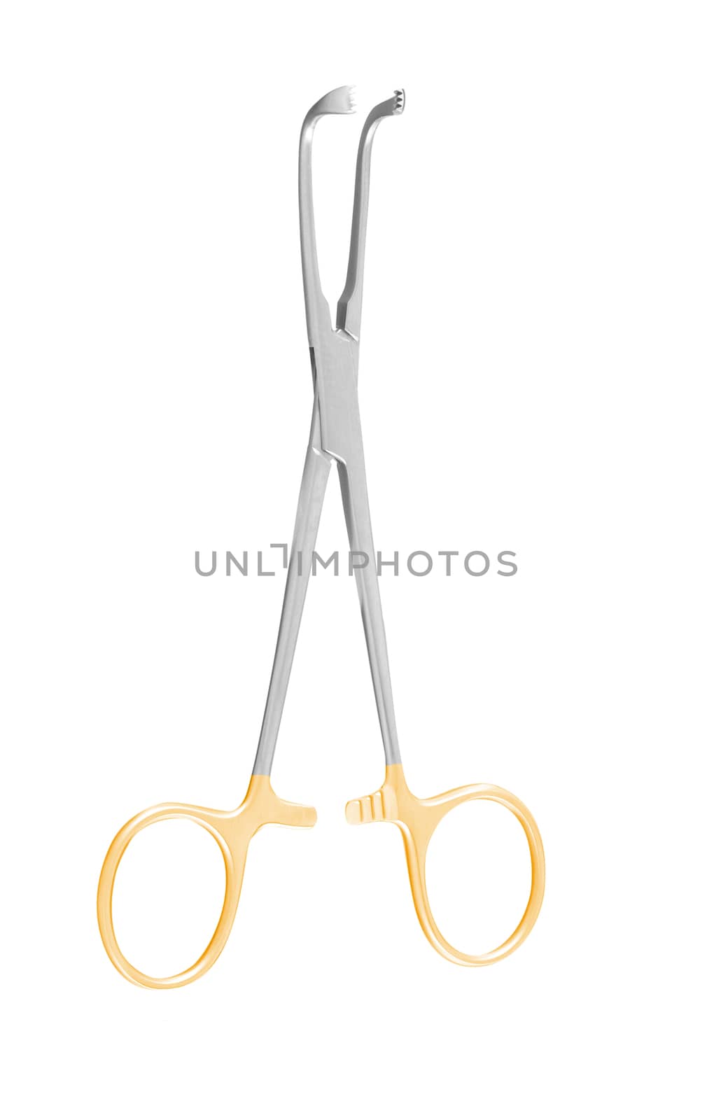 medical scissors isolated on white