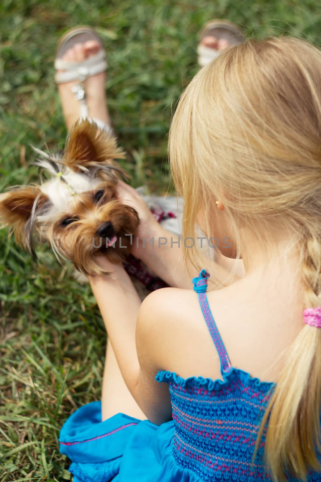 Girl 5 years old back to the camera plays with Yorkshire Terrier
