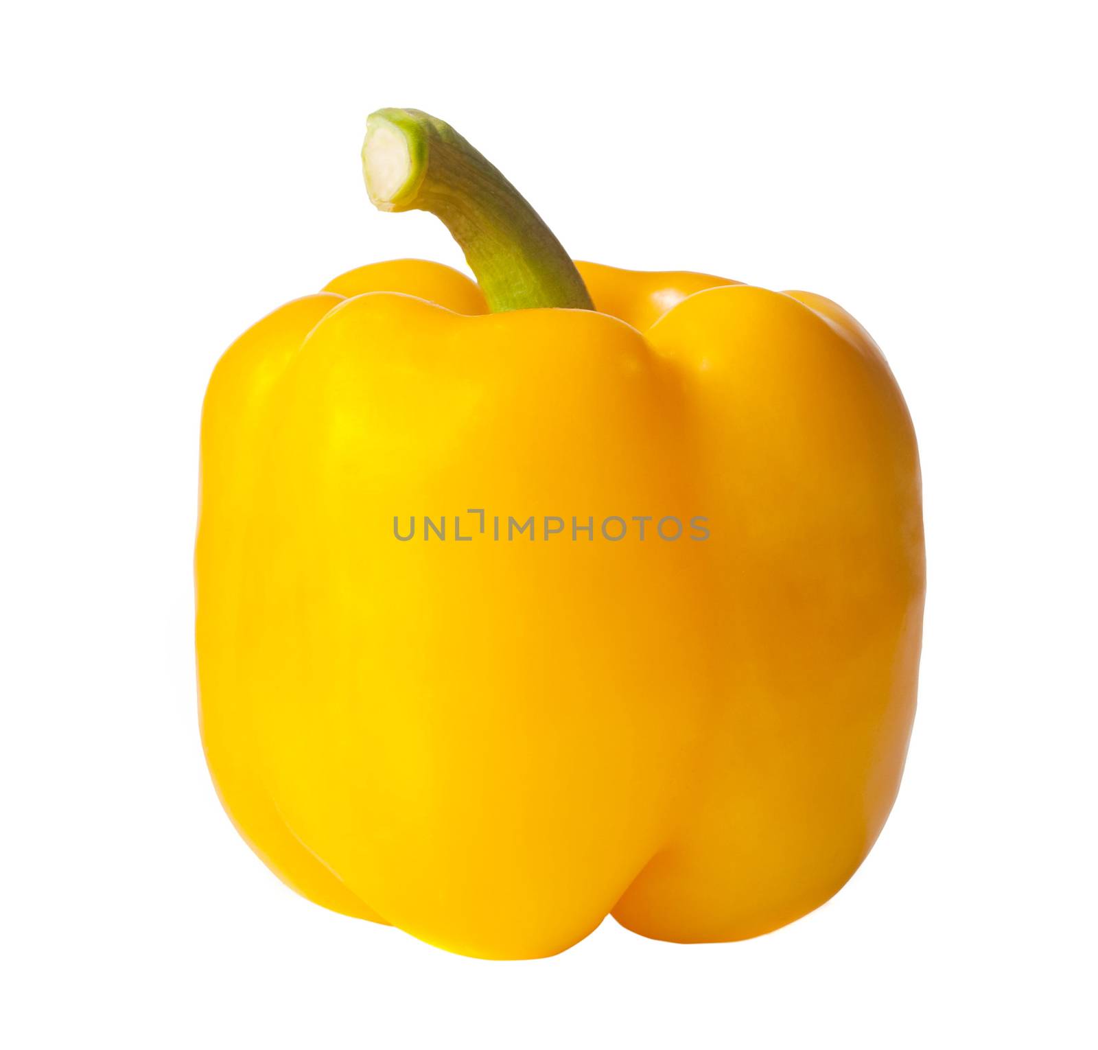 Yellow pepper on white background by ozaiachin