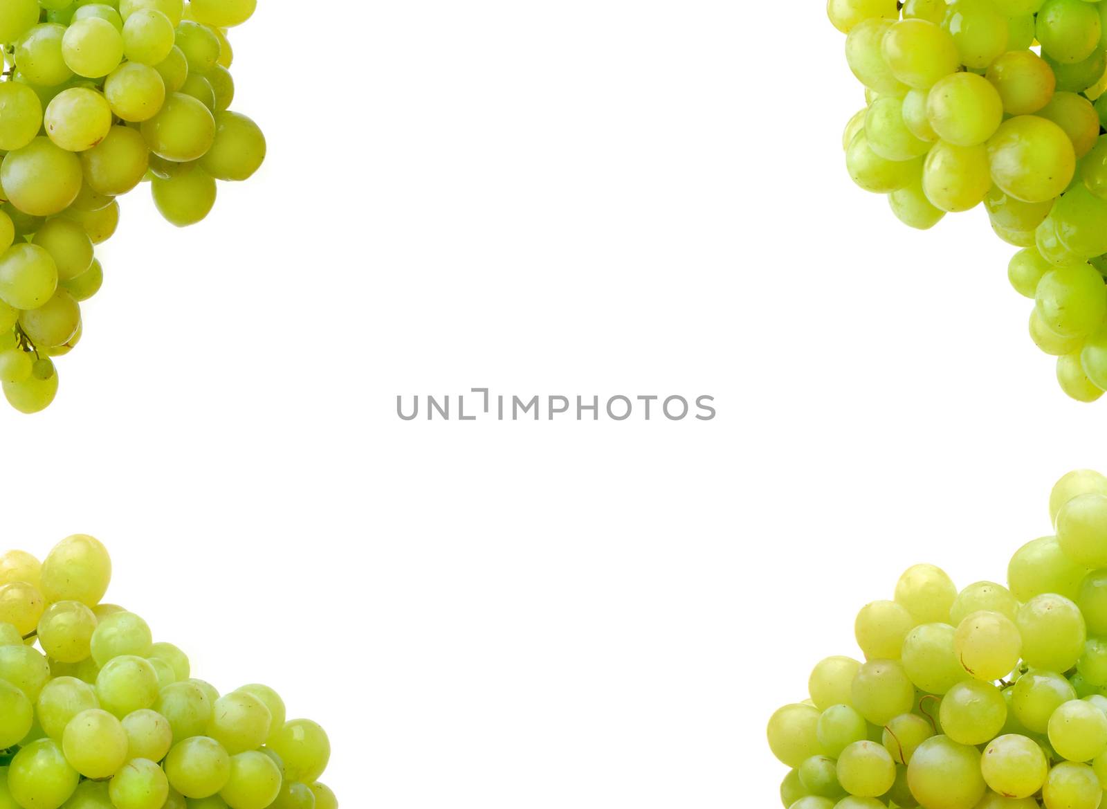 white grape on white background