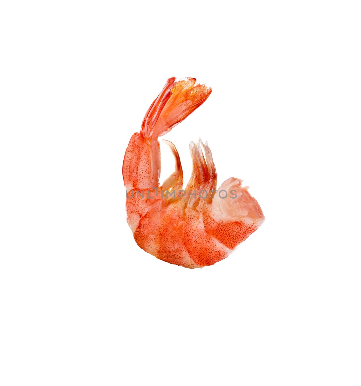 tiger shrimp isolated on white by ozaiachin