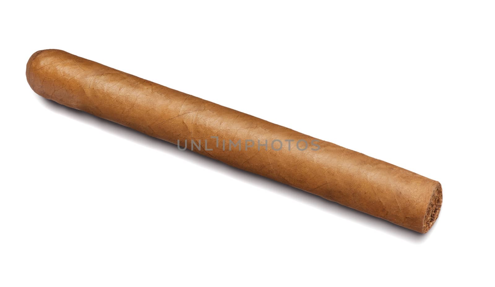 cigar isolated on white by ozaiachin