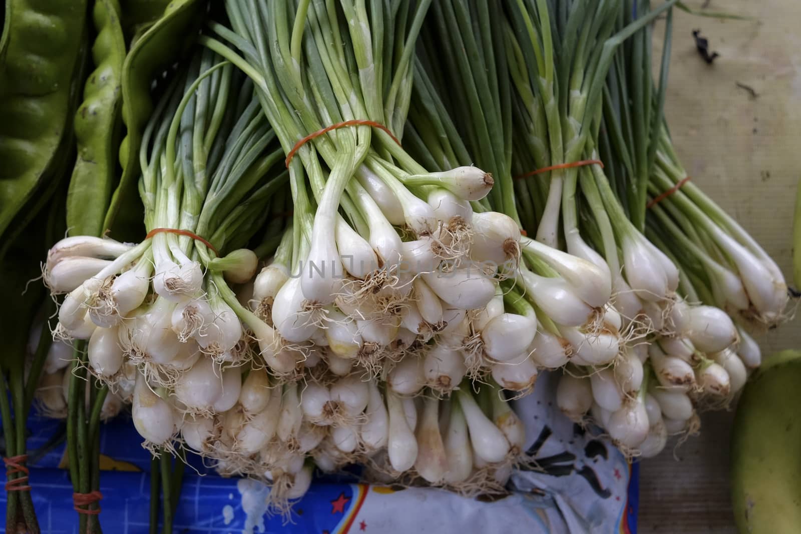 freshly harvested spring onions ready to sell at market