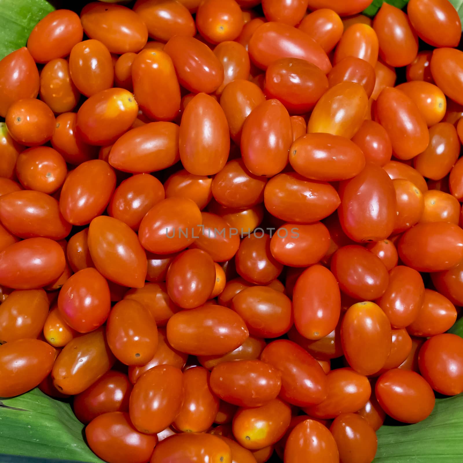 Group of fresh small tomatoes