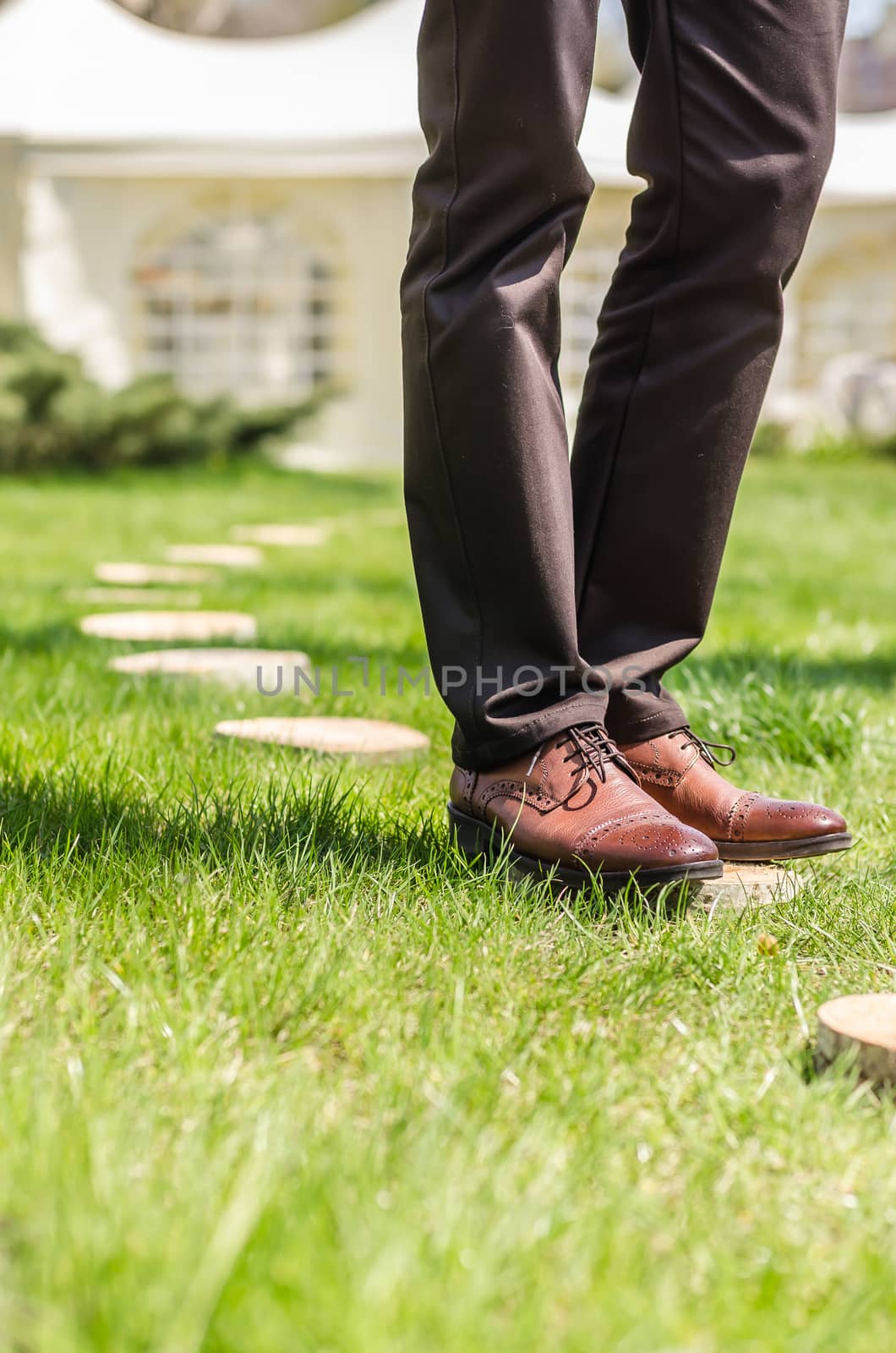 wedding decor section of tree trunk stumps on the green grass