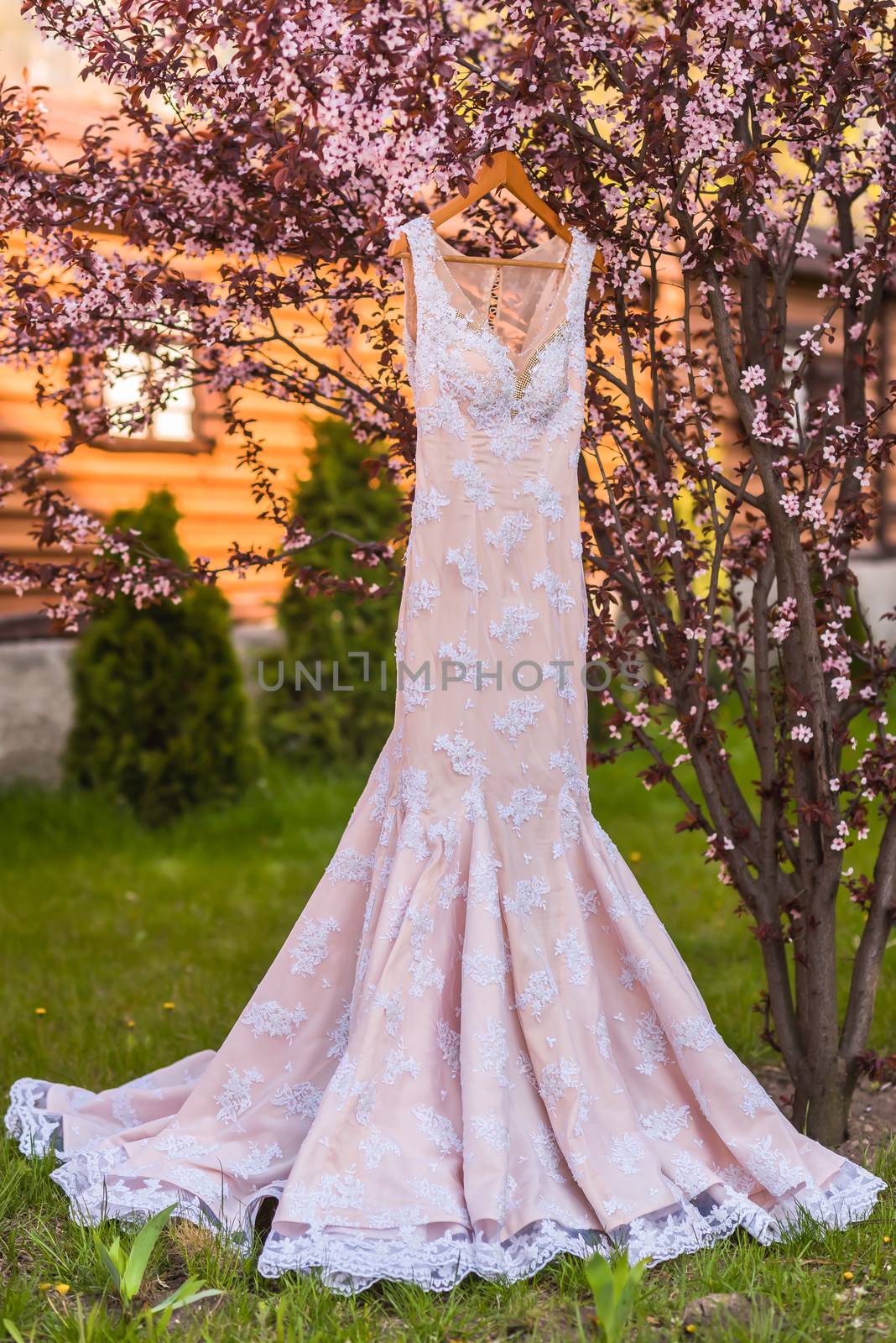 wedding dress on the tree in the wooden house