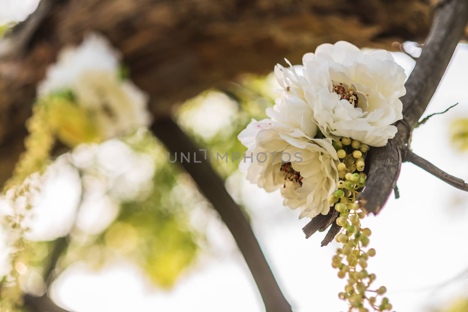 wedding decor by Andreua