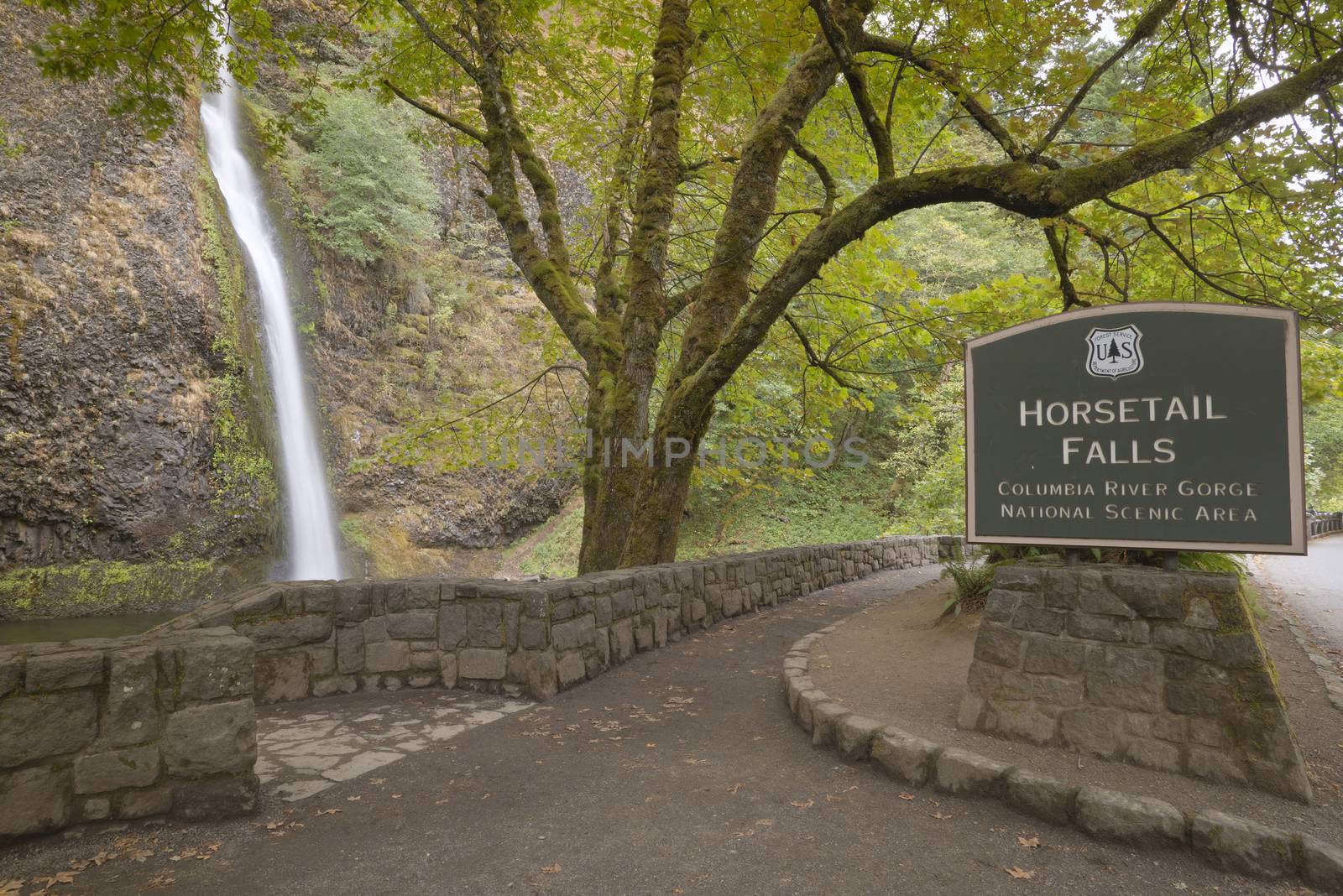 Horsetail Falls Columbia River Gorge scenic area Oregon.