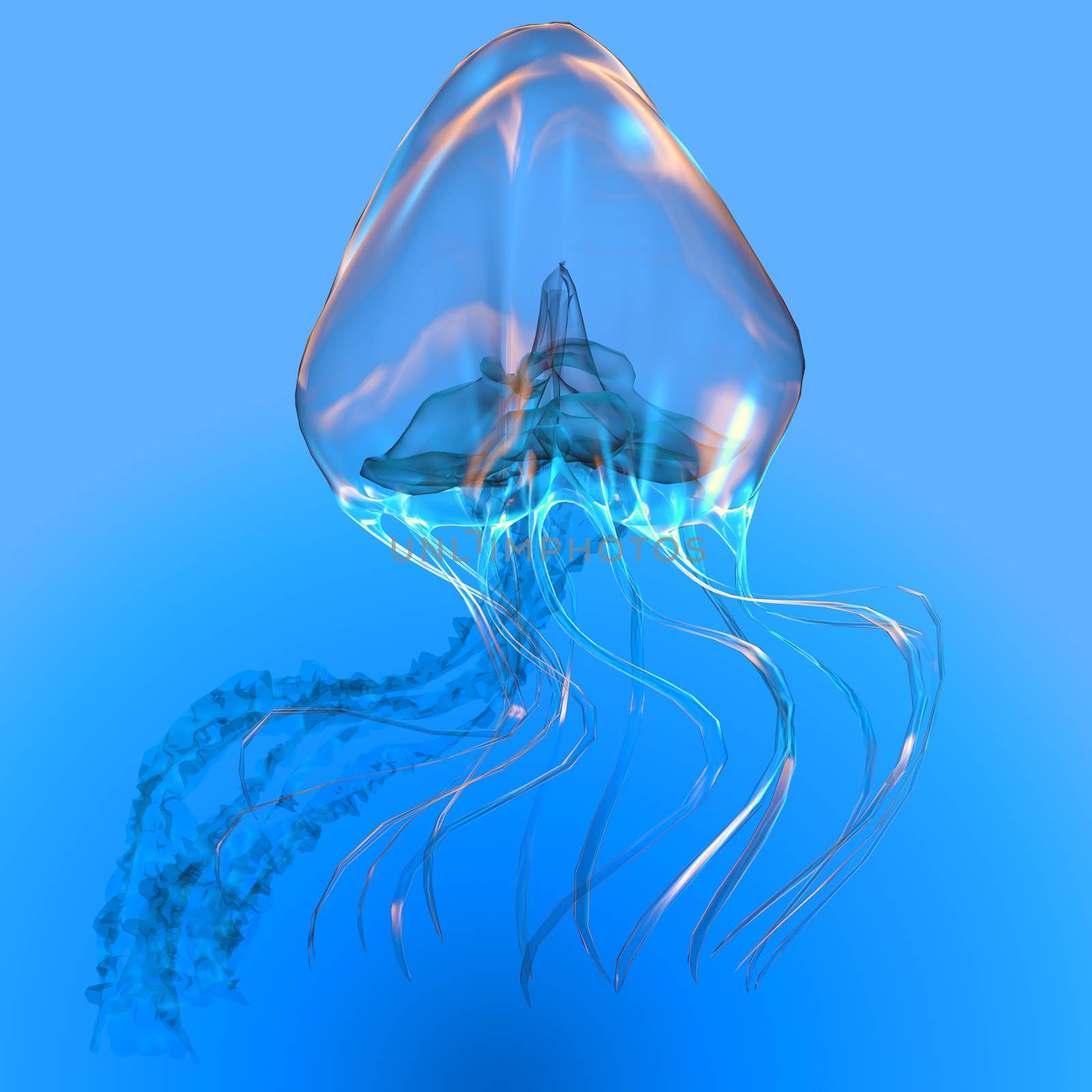 Blue Glowing Jellyfish by Catmando