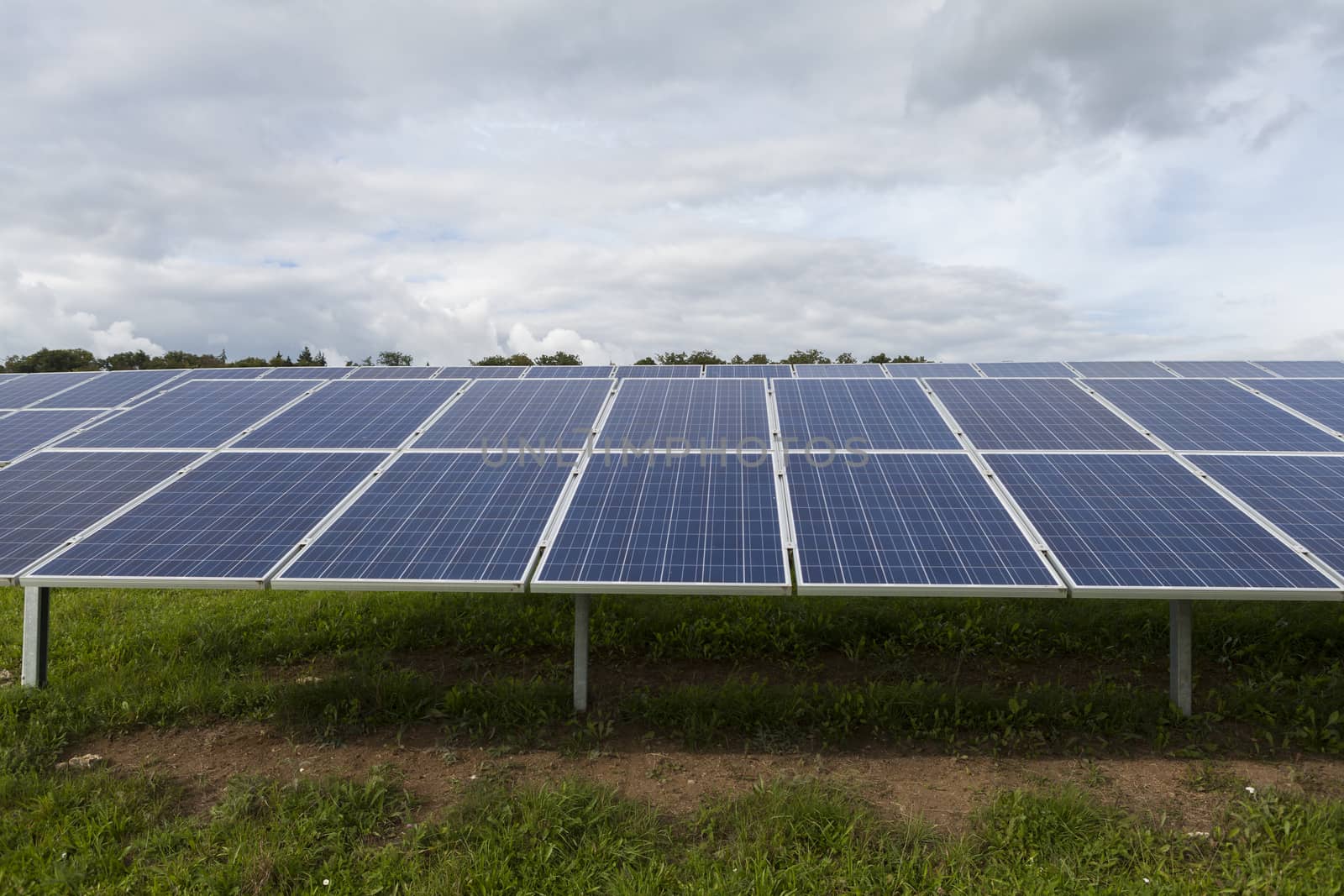 Field with blue siliciom solar cells alternative energy to collect sun energy