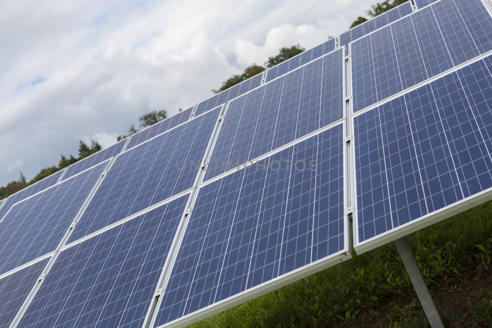 Field with blue siliciom solar cells alternative energy to collect sun energy