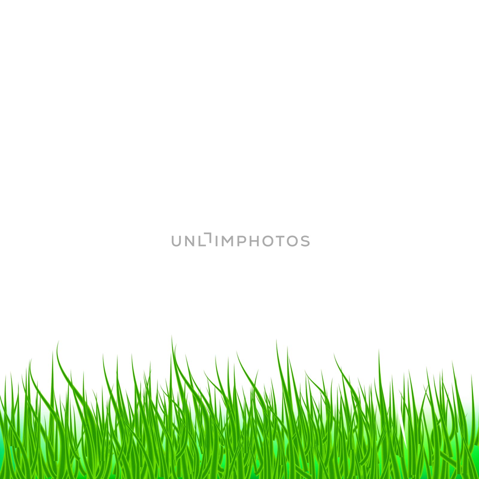 Lawn green grass abstract natural background by olegkozyrev