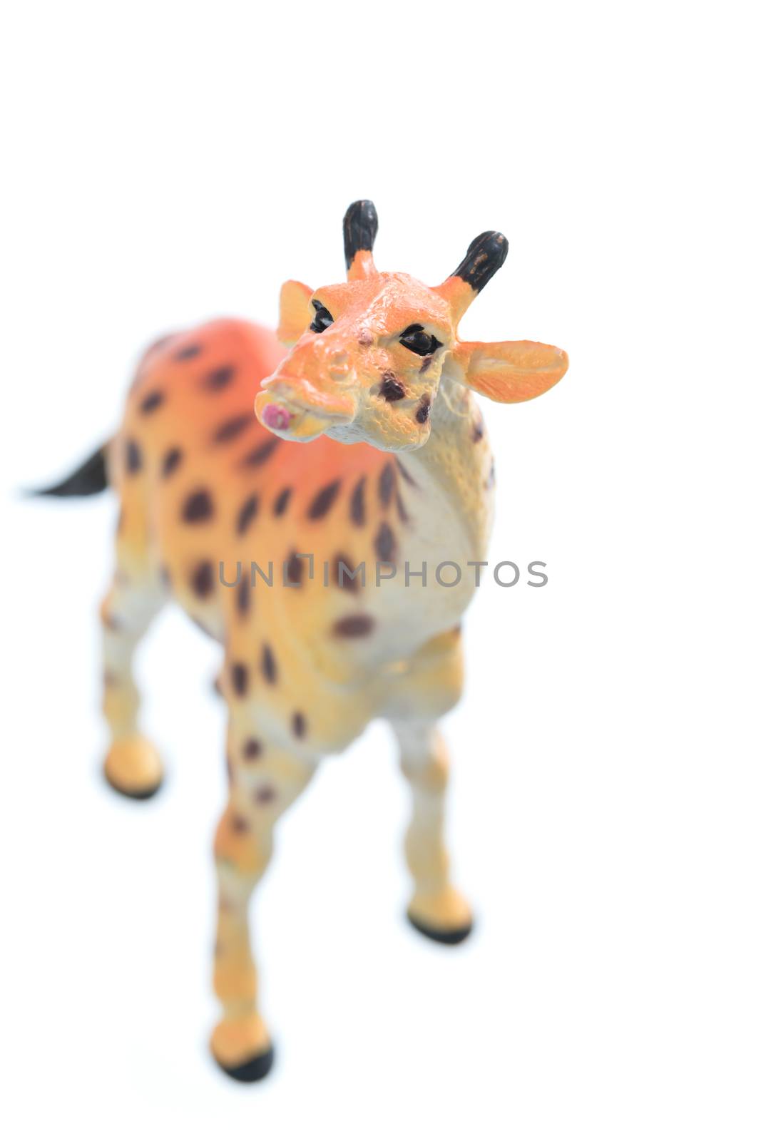 A small toy giraffe isolated on a white background.