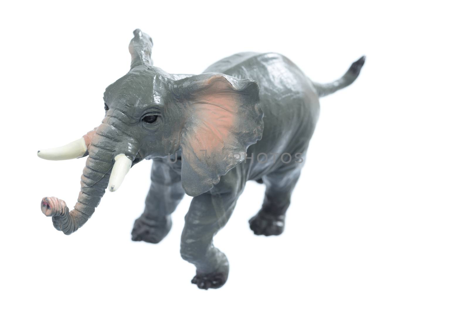 A small toy elephant isolated on a white background.