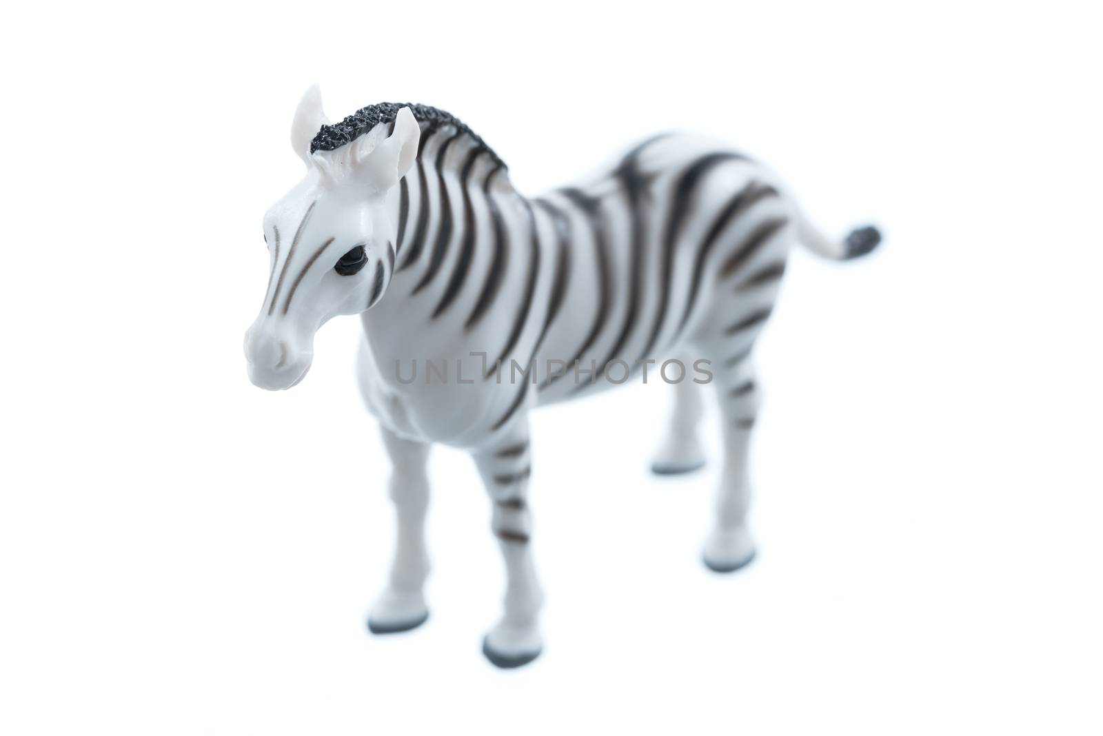 A small toy zebra isolated on a white background.