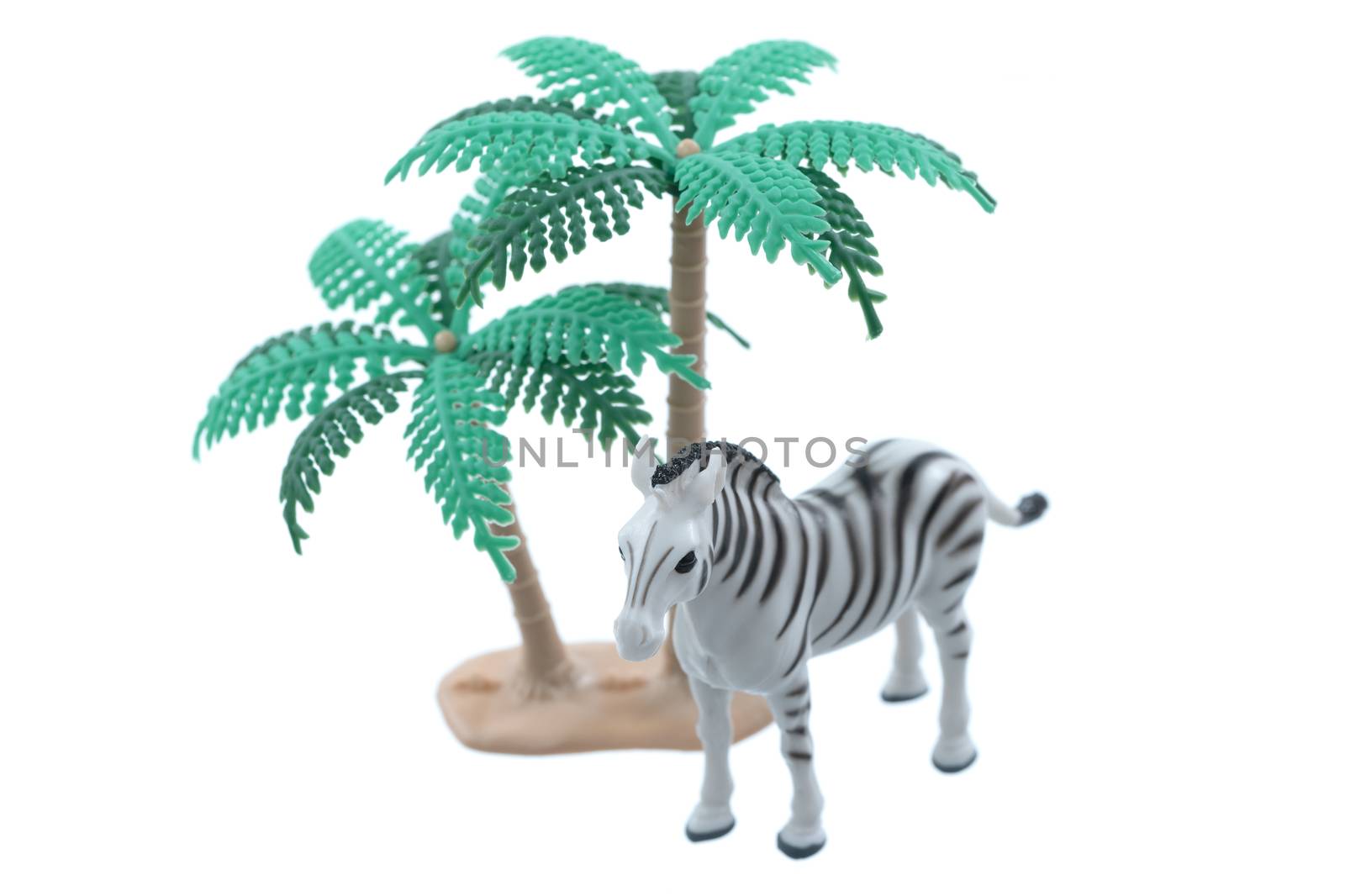 A small toy zebra with trees isolated on a white background.