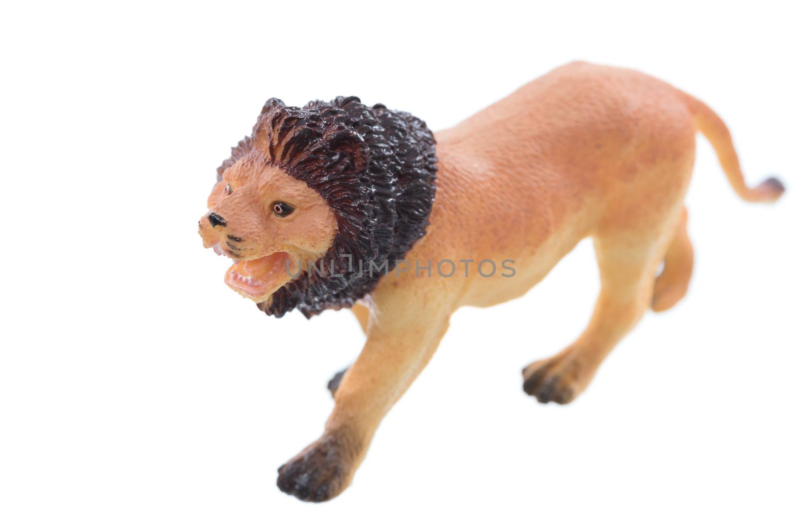 A small toy lion ioslated on a white background.