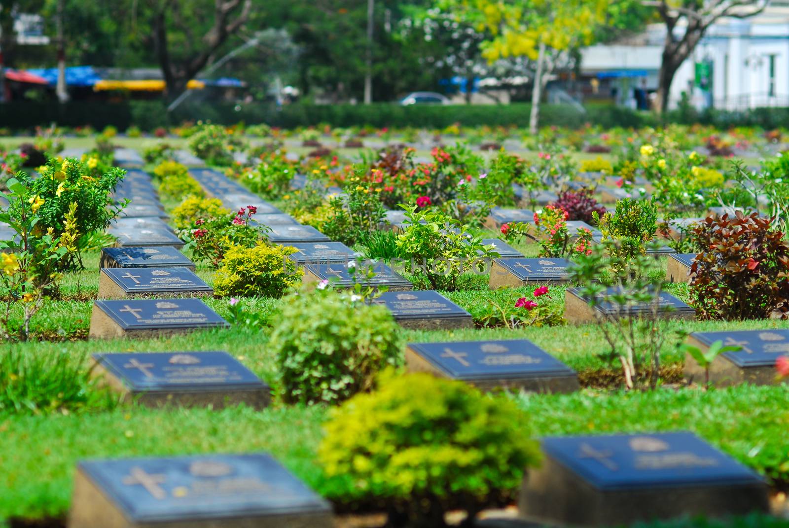 cemetery graveyard of die military world war two in kanchanaburi by yotananchankheaw