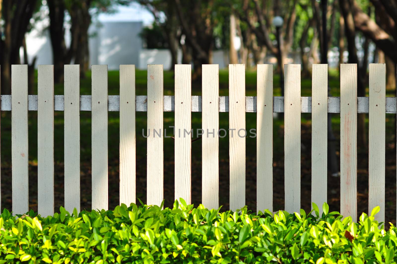 white fence in front of garden look so relax among green bush