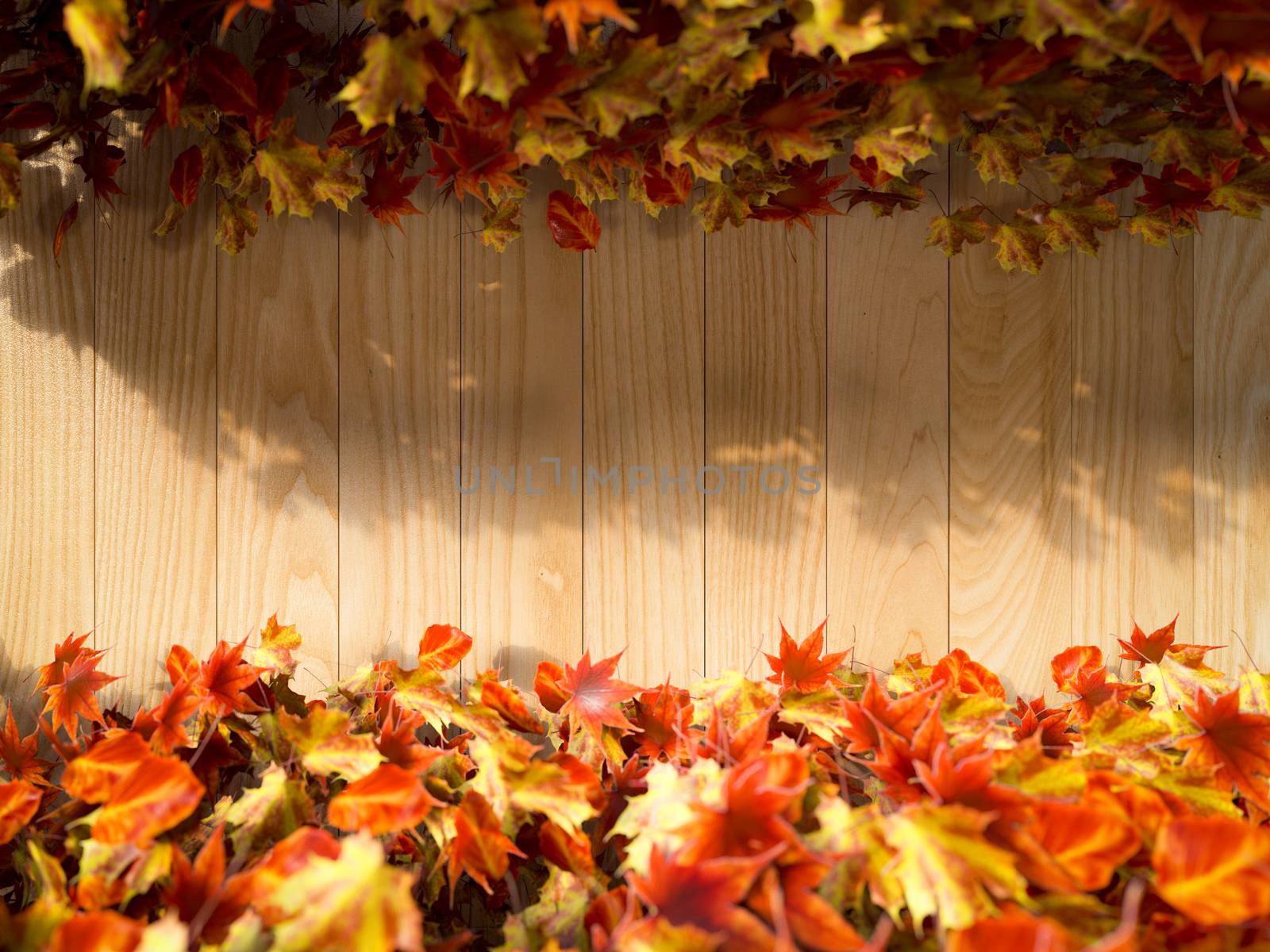 autumn leaves on the wooden background composition