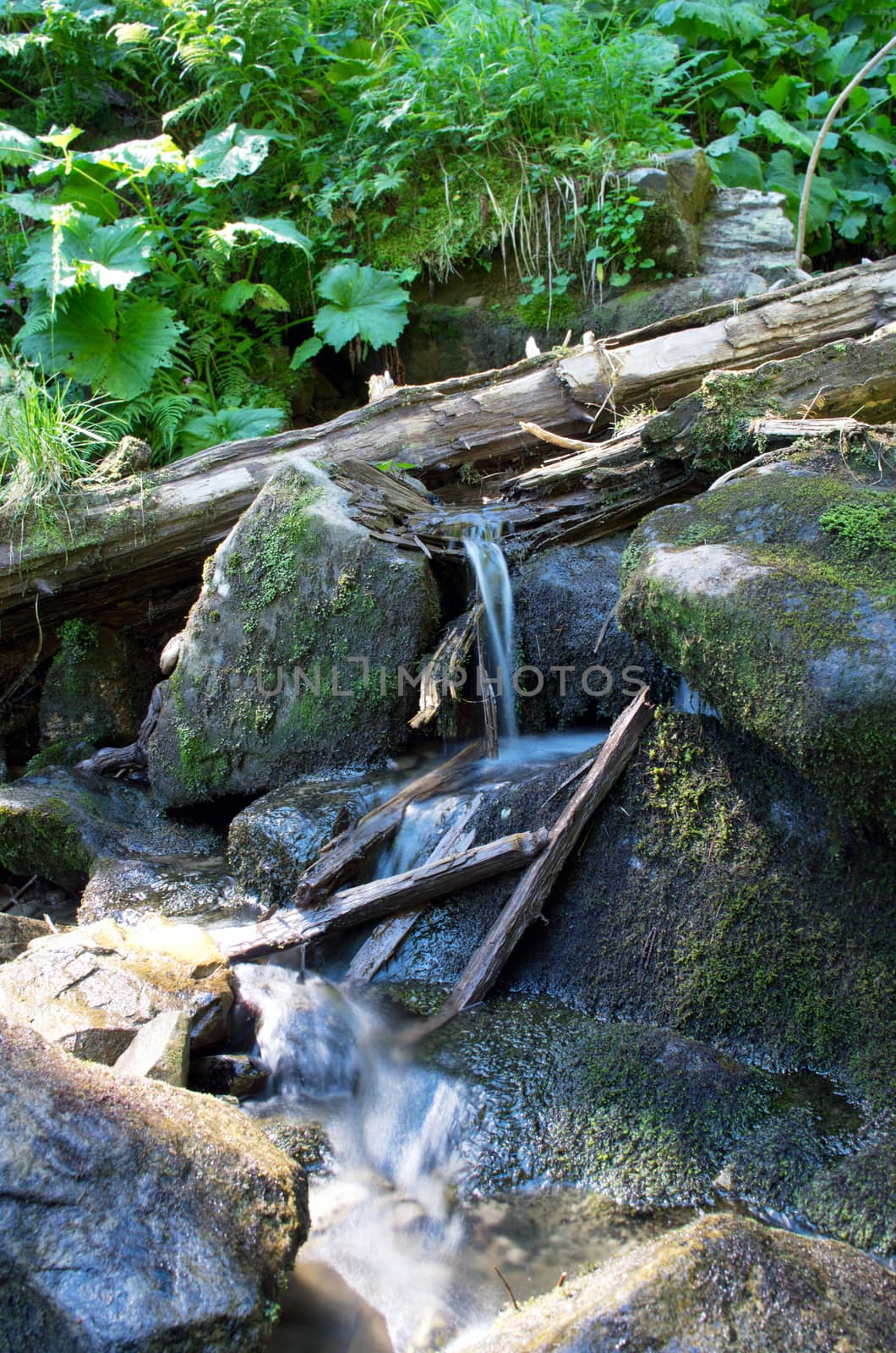 Cascade falls over mossy rocks 