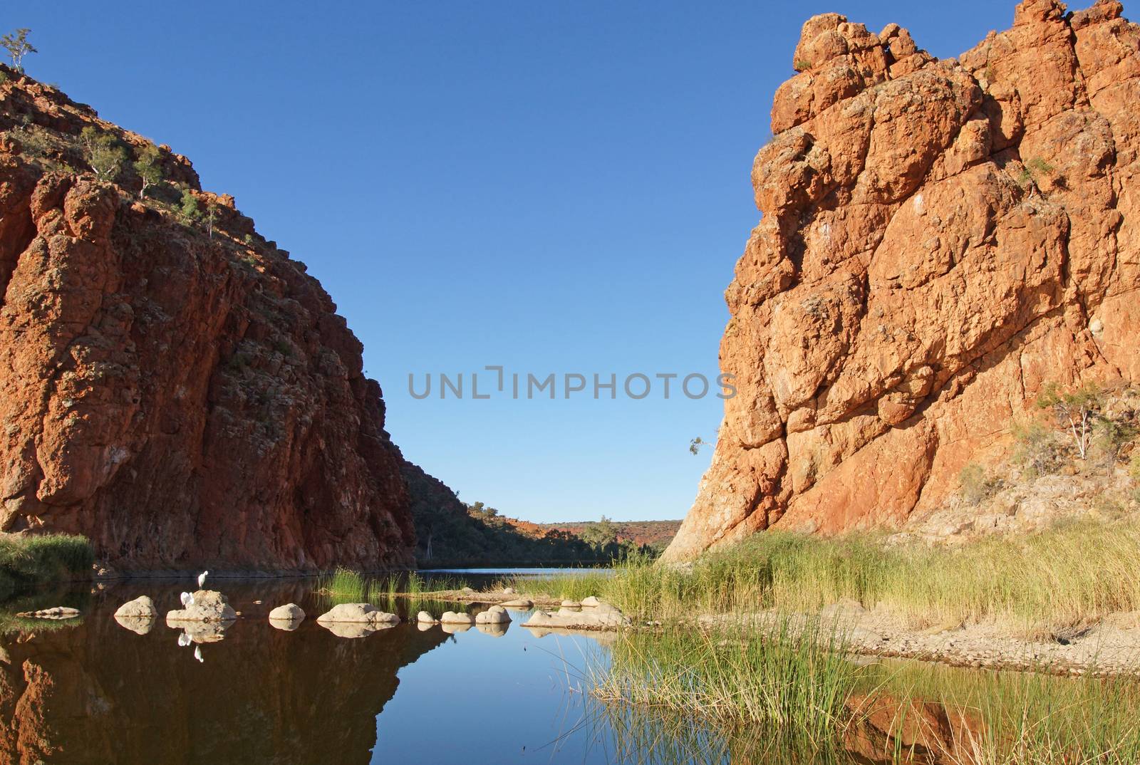 Glen Helen Gorge, West MacDonnell National Park, Northern Territory, Australia