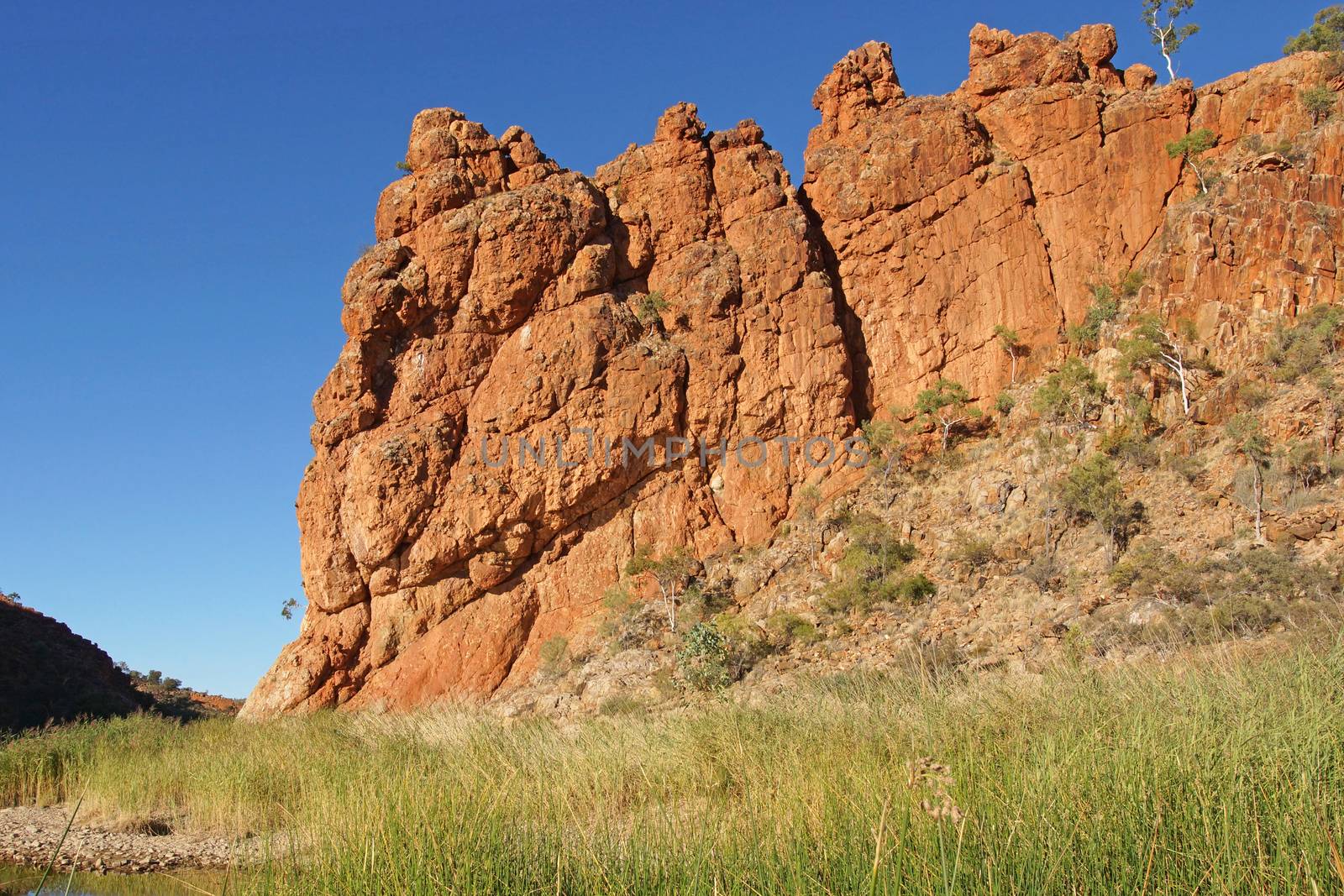 Glen Helen Gorge, West MacDonnell National Park, Northern Territory, Australia