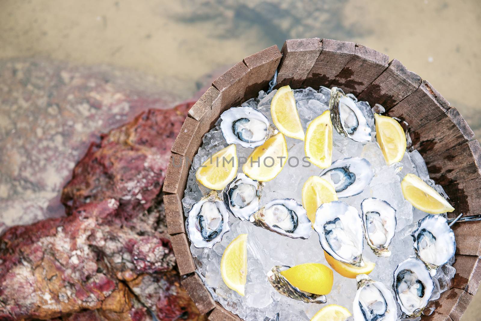 Fresh oysters on ice at the beach during the day