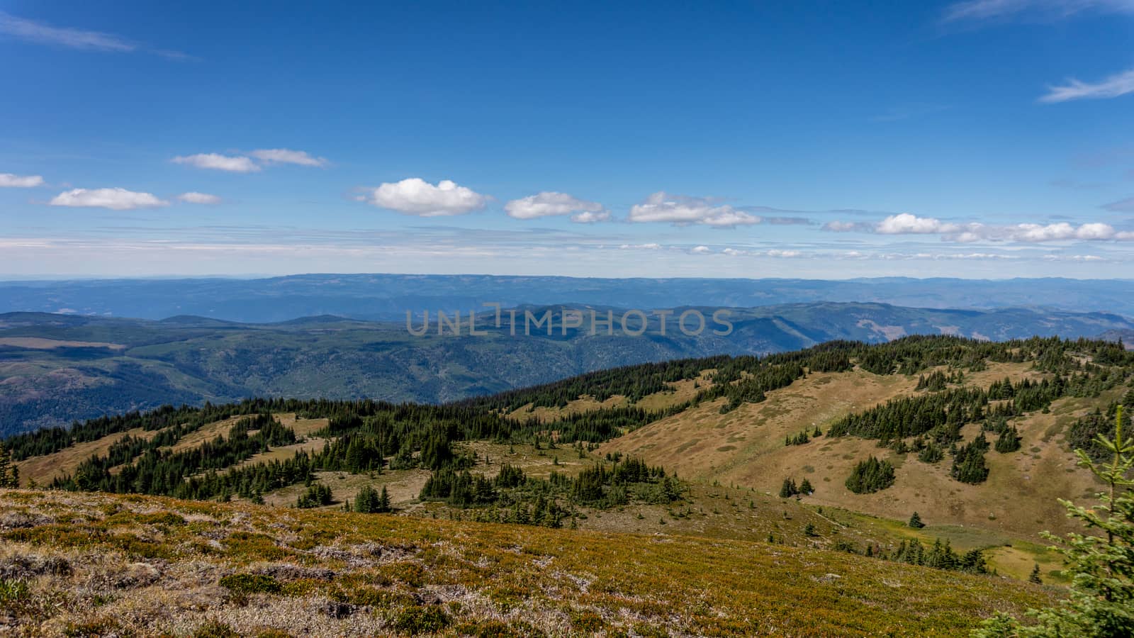 View from the top of Tod Mountain in the Sushwap Highlands of central British Columbia, Canada. The summit at just over 7000 feet elevation can be reached by moderately difficult hiking trails