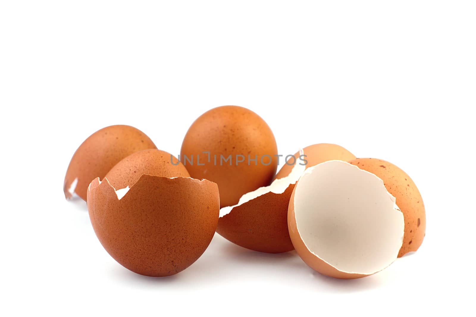 Eggshell on white background