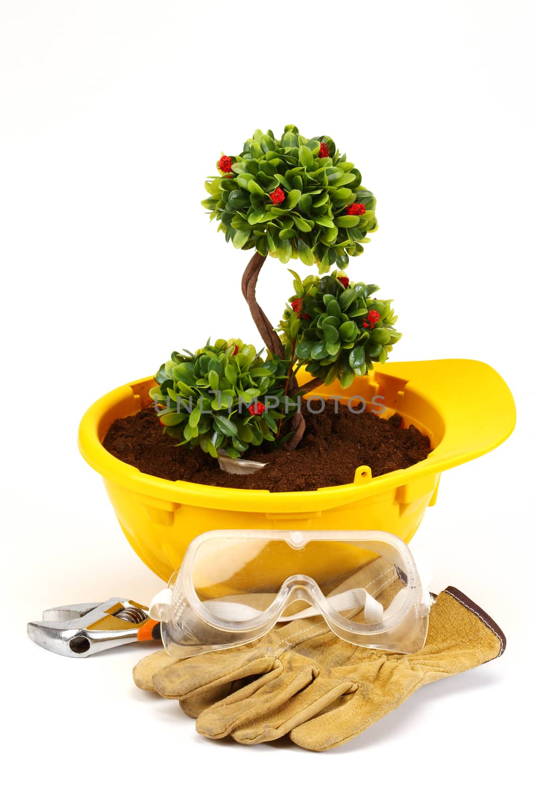 Green plant in  helmet on white - environmental friendly industry concept