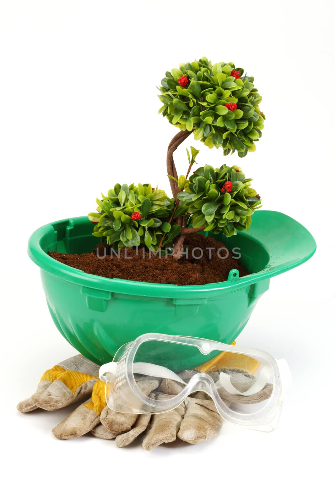 Green plant in green helmet on white - environmental friendly industry concept