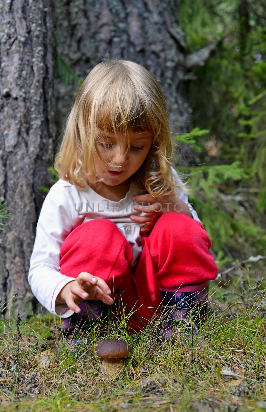 Little girl with mashrooms in the summer forest 