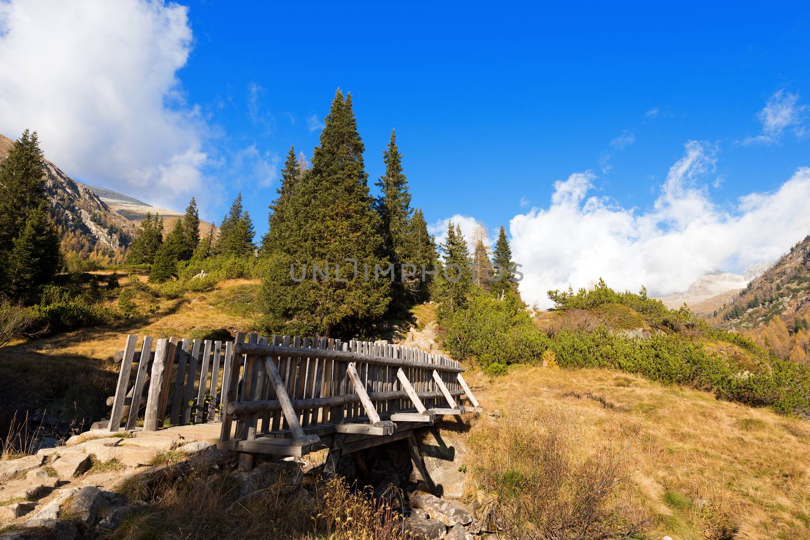 Small wooden bridge of a trekking path in the National Park of Adamello Brenta, Val di Fumo. Trentino Alto Adige, Italy