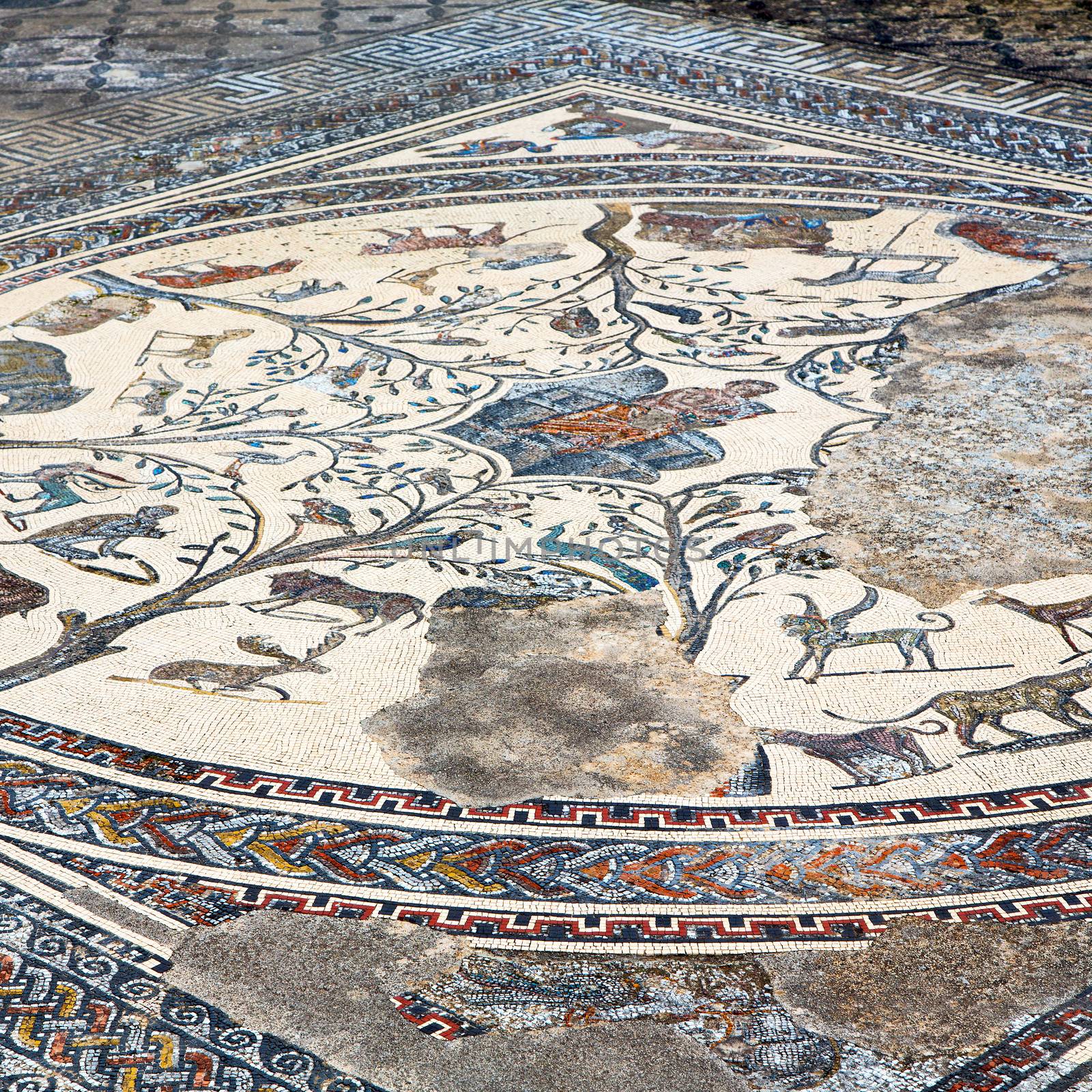 roof mosaic in the old city morocco africa and history travel