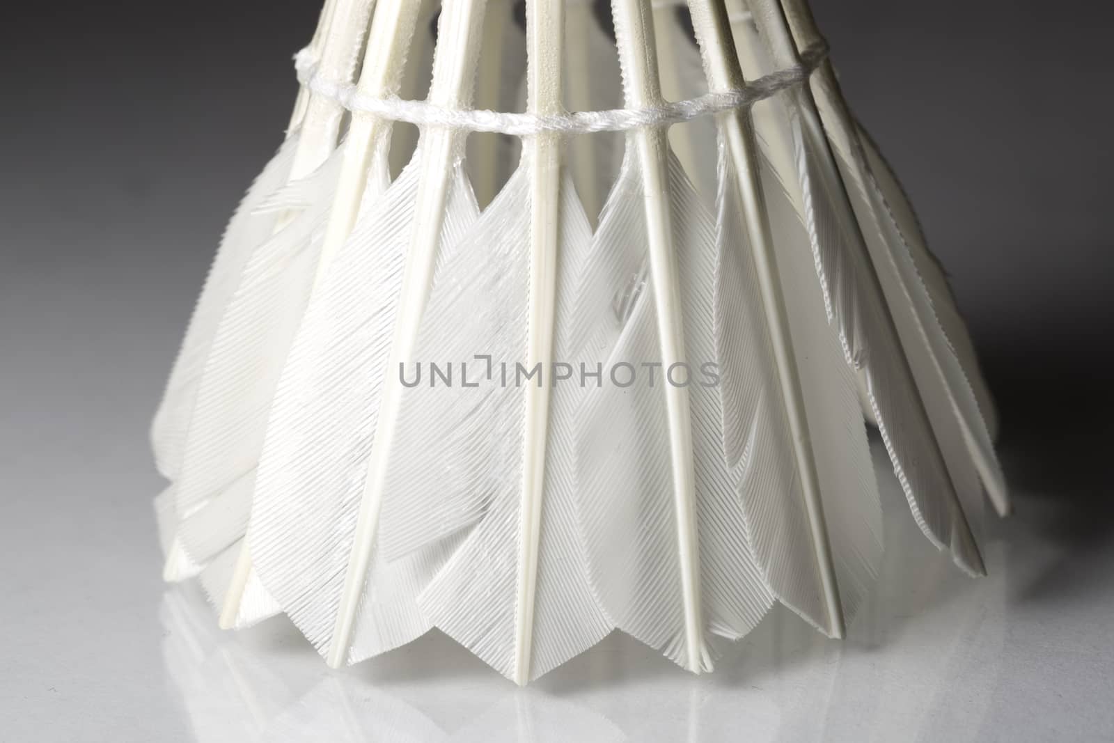 Feathered White Shuttlecock with grey background. Macro image.