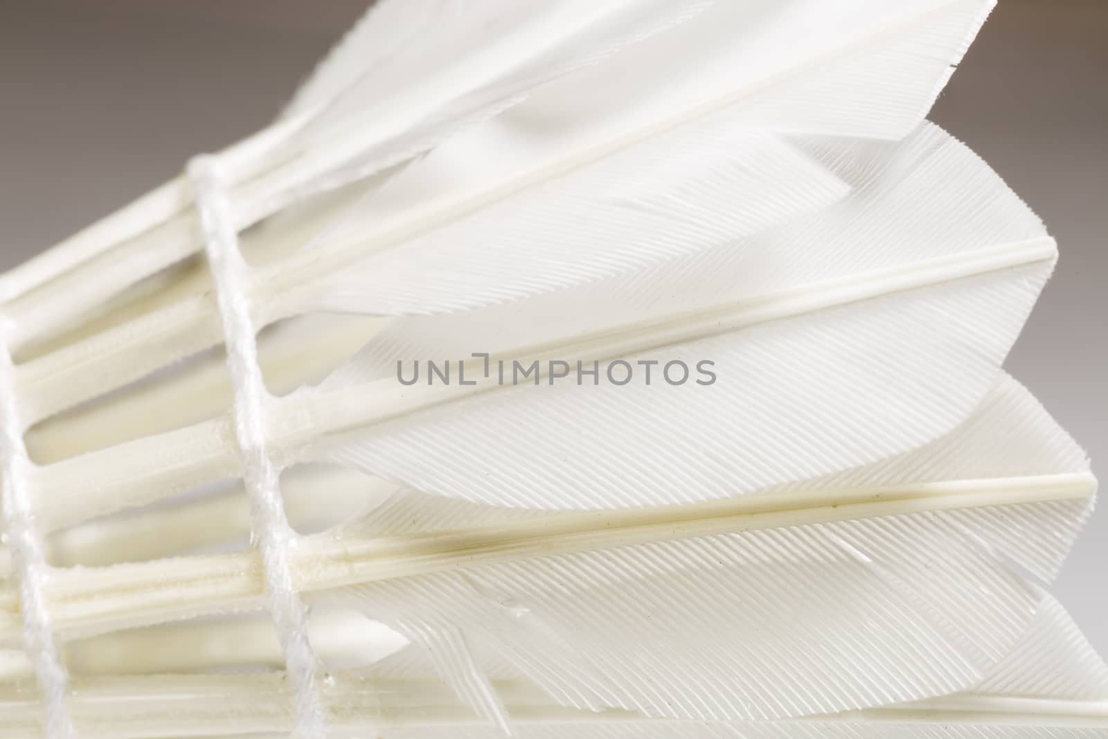 Feathered White Shuttlecock. Macro image.