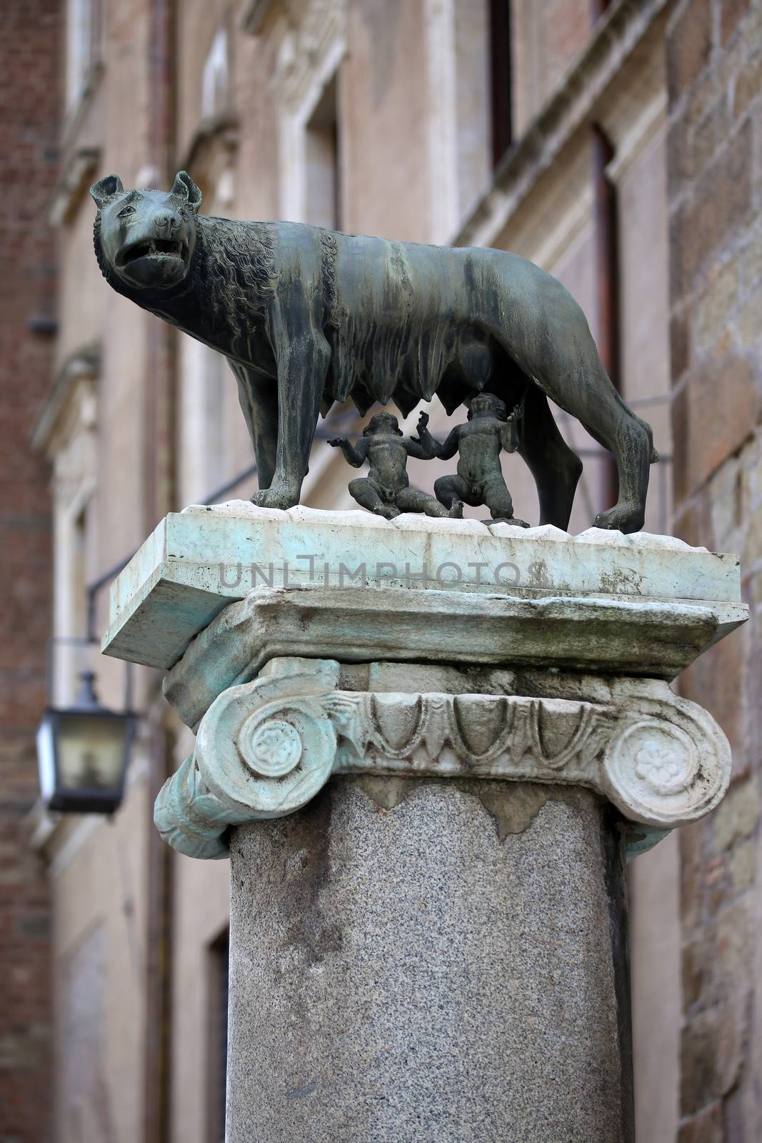 The statue of Romul and Remus in Rome, Italy