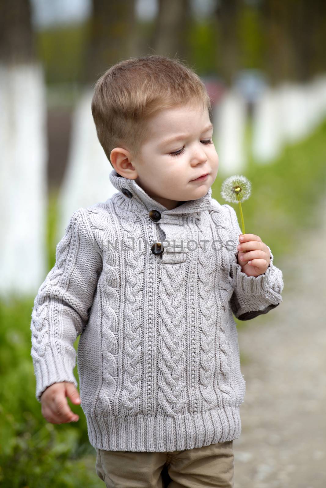 2 years old Baby boy with dandelion in spring park