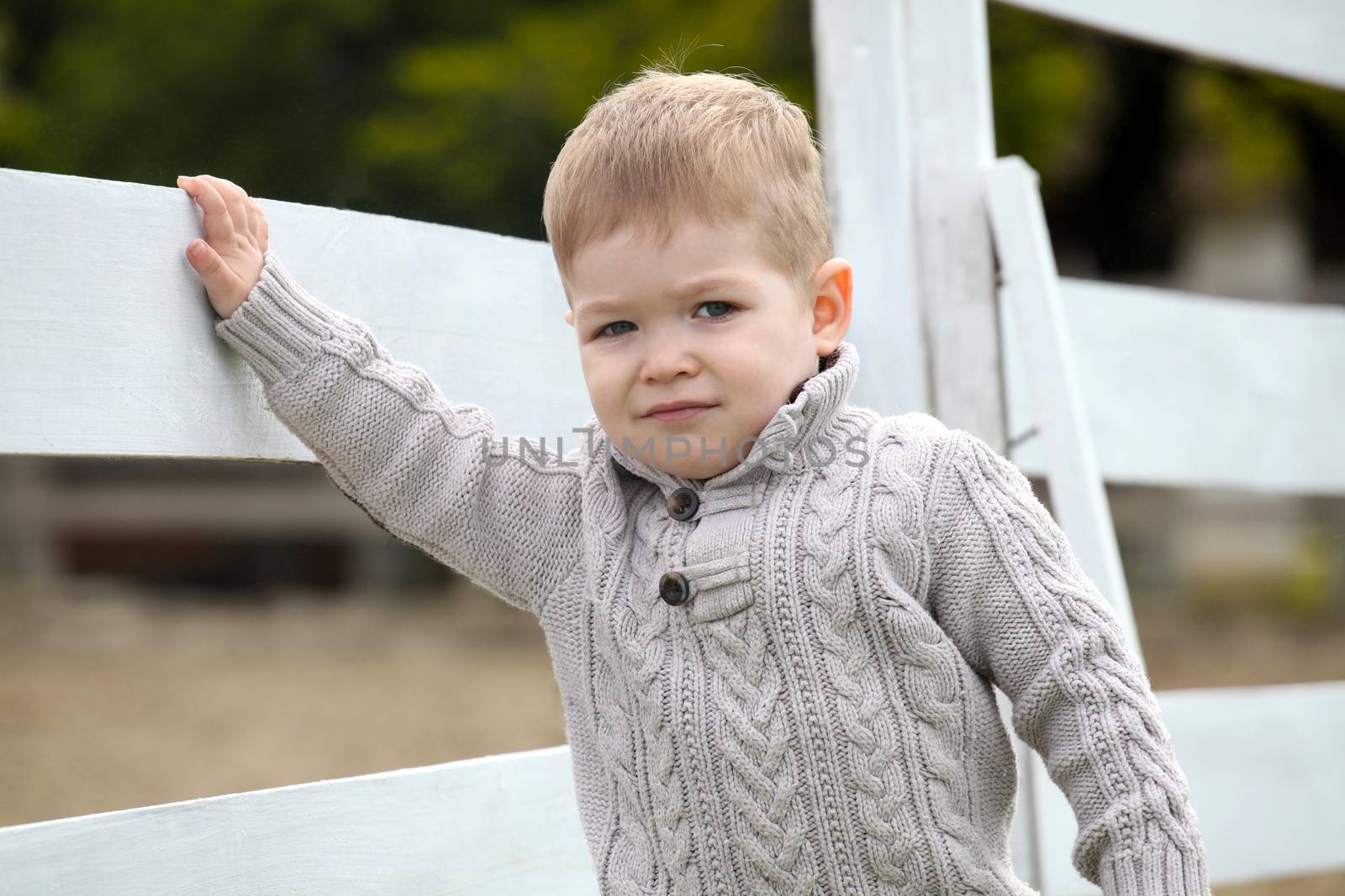 2 years old Baby boy on the a white picket fence beside the hors by vladacanon