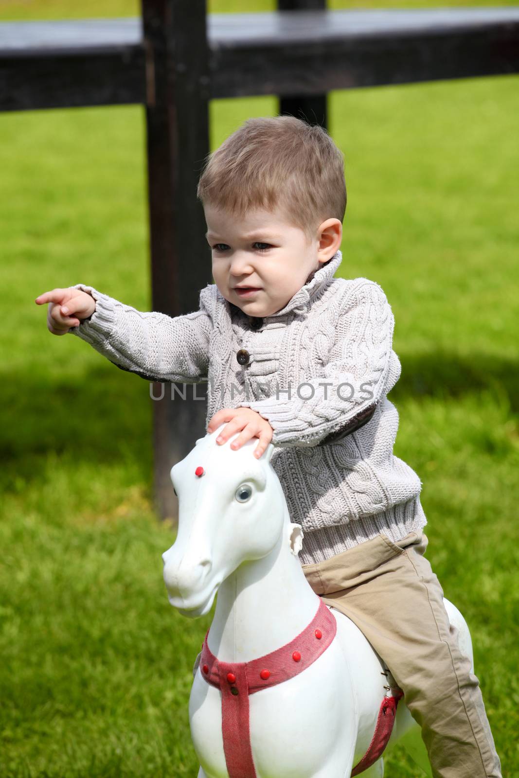 2 years old Baby boy playing with horse on playground 