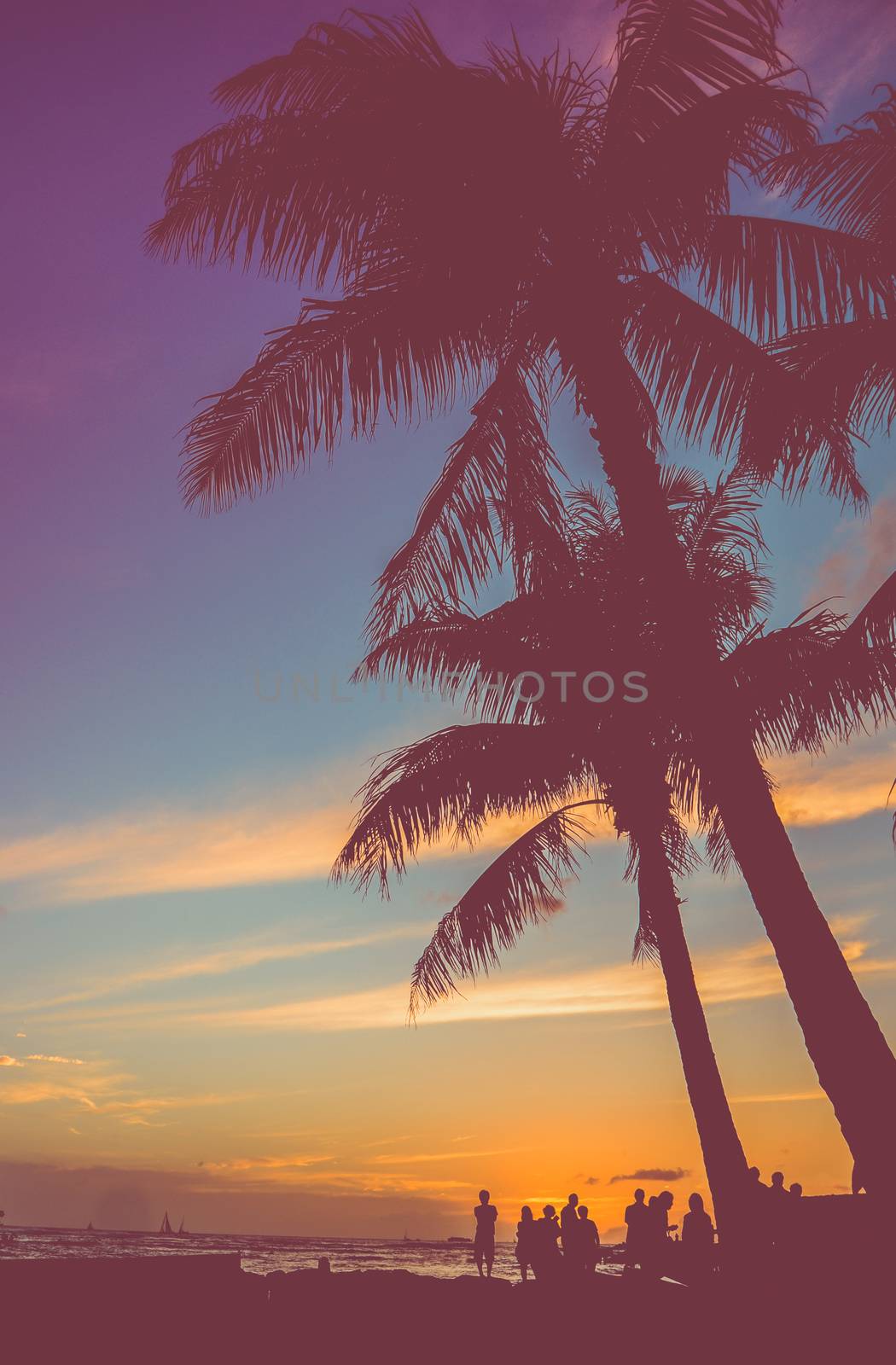 Retro Beach Party Under Palm Trees by mrdoomits